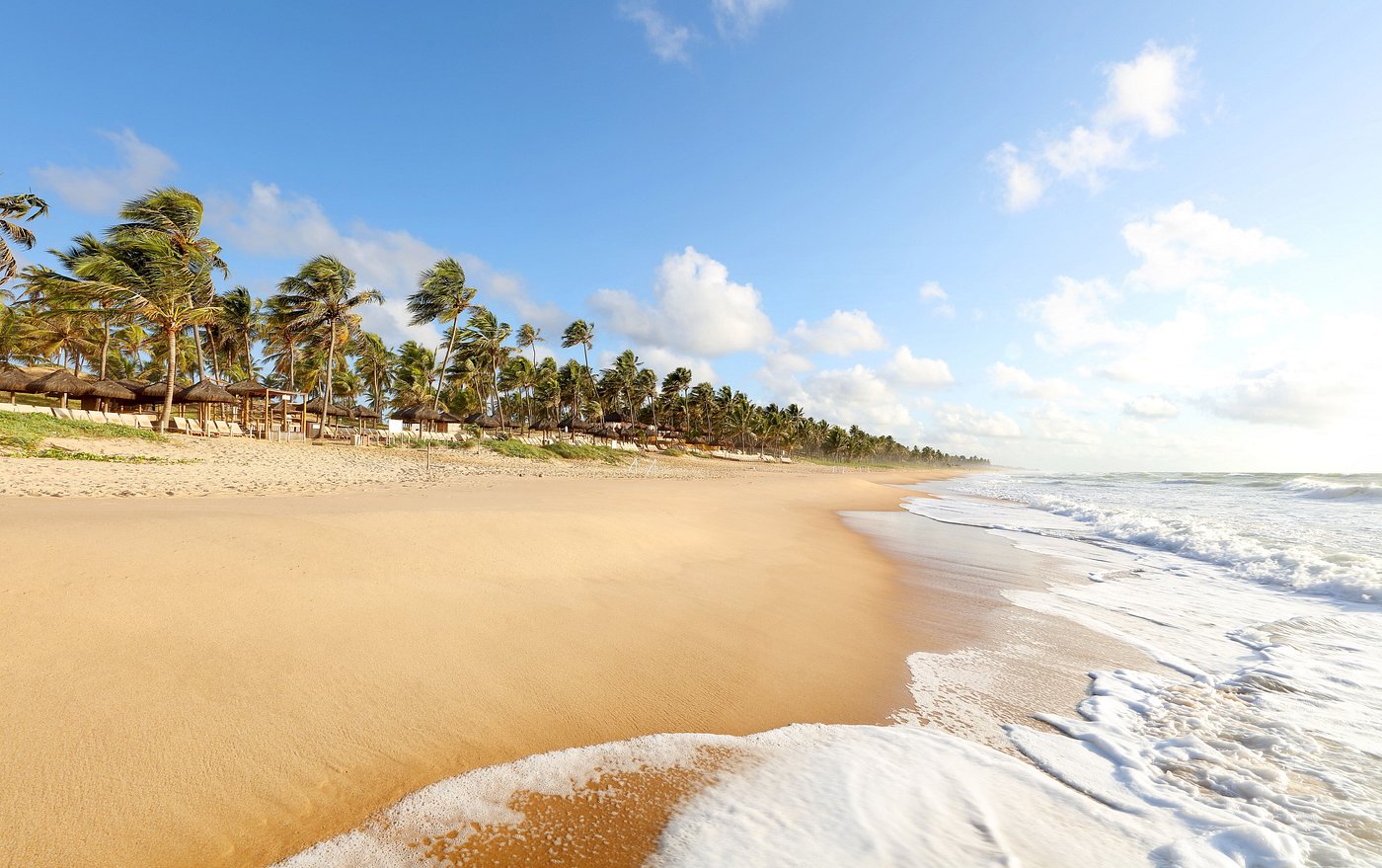 Sendero de palmeras hacia la playa del resort